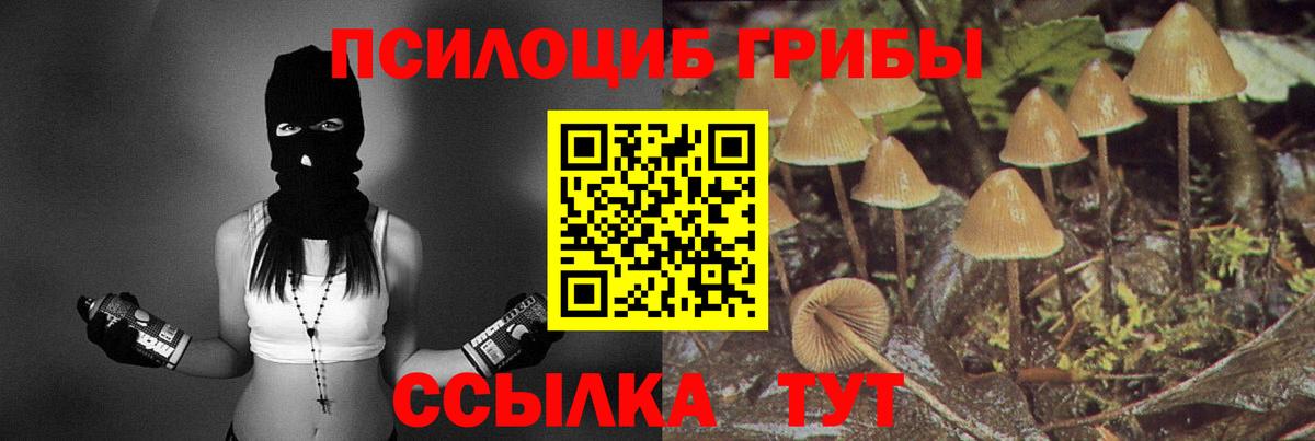 Псилоцибиновые грибы мицелий  Вход с VPN  Избербаш 